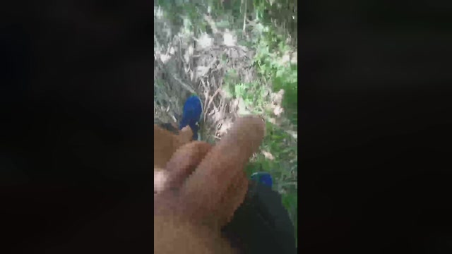 topalkatabehot  17-05-2022